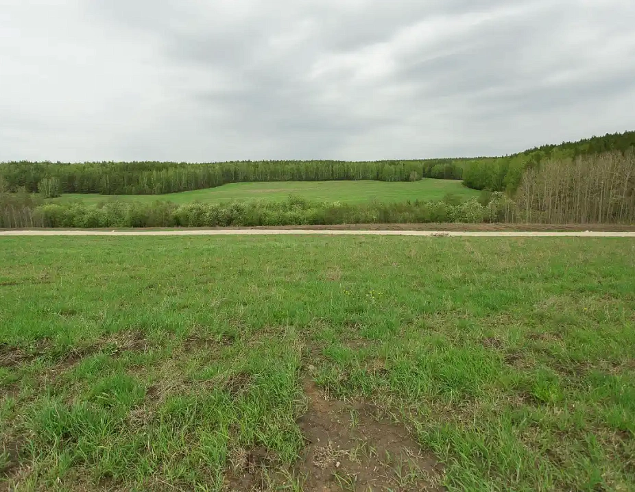 ЗЕЛЁНЫЕ КВАРТАЛЫ